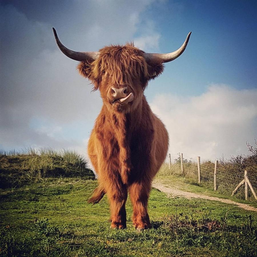 Overnachten onder de Lange Jaap Den Helder Exterior foto