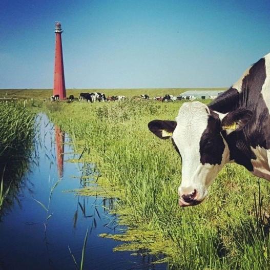Overnachten onder de Lange Jaap Den Helder Exterior foto